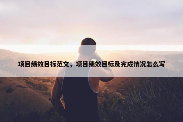 项目绩效目标范文，项目绩效目标及完成情况怎么写