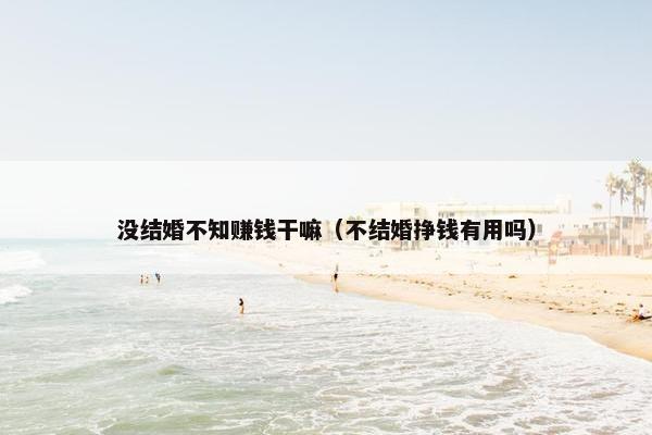 没结婚不知赚钱干嘛（不结婚挣钱有用吗）