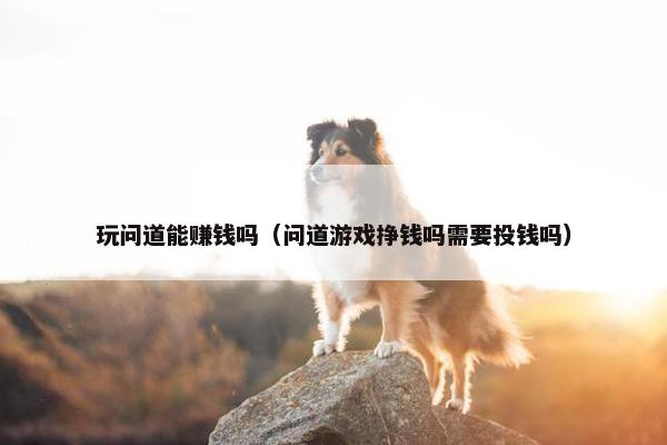 玩问道能赚钱吗（问道游戏挣钱吗需要投钱吗）