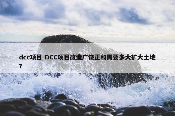 dcc项目 DCC项目改造广饶正和需要多大扩大土地?