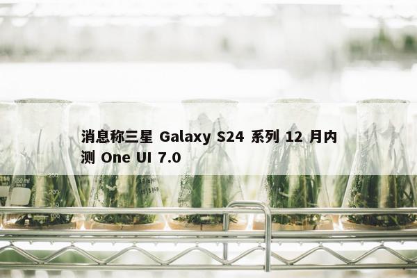 消息称三星 Galaxy S24 系列 12 月内测 One UI 7.0