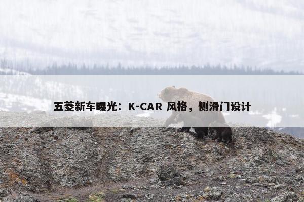 五菱新车曝光：K-CAR 风格，侧滑门设计