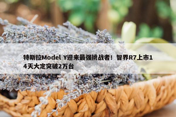 特斯拉Model Y迎来最强挑战者！智界R7上市14天大定突破2万台