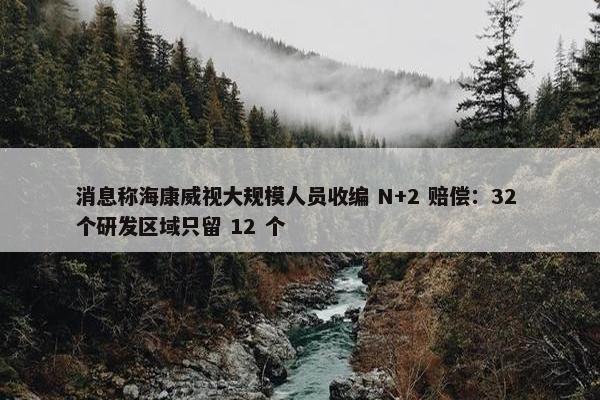 消息称海康威视大规模人员收编 N+2 赔偿：32 个研发区域只留 12 个