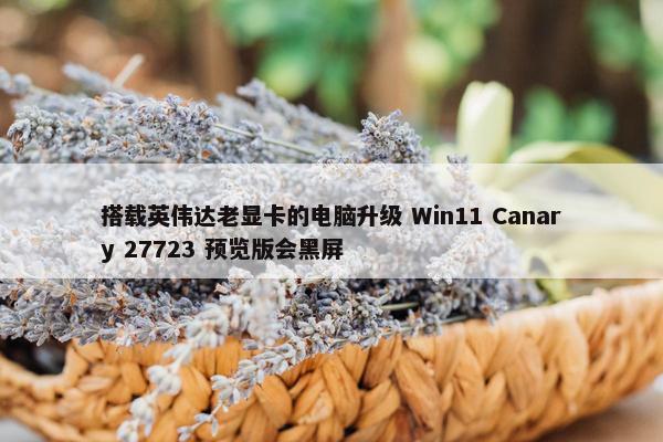 搭载英伟达老显卡的电脑升级 Win11 Canary 27723 预览版会黑屏