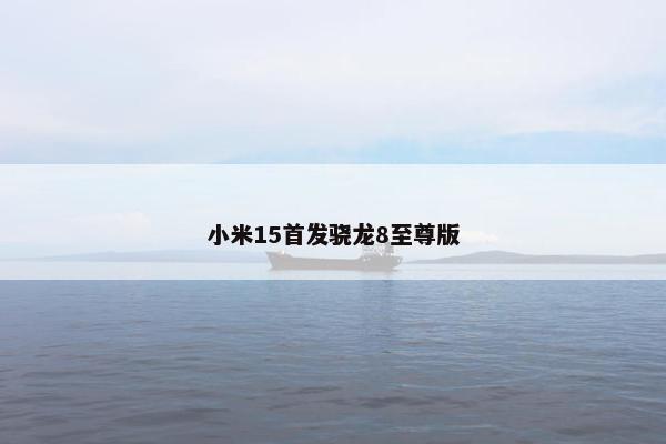 小米15首发骁龙8至尊版