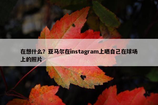 在想什么？亚马尔在instagram上晒自己在球场上的照片