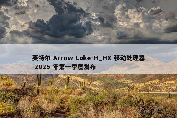 英特尔 Arrow Lake-H_HX 移动处理器 2025 年第一季度发布