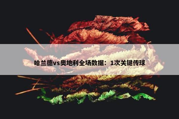 哈兰德vs奥地利全场数据：1次关键传球