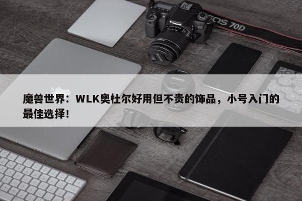 魔兽世界：WLK奥杜尔好用但不贵的饰品，小号入门的最佳选择！