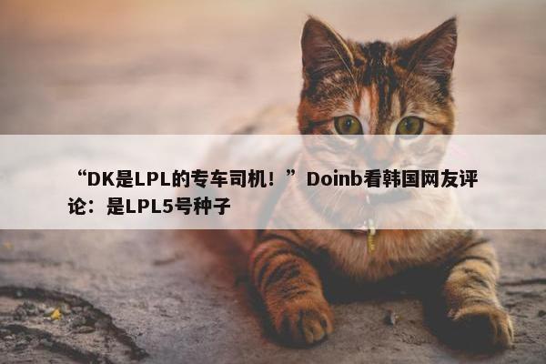 “DK是LPL的专车司机！”Doinb看韩国网友评论：是LPL5号种子