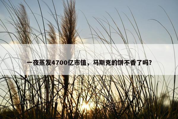 一夜蒸发4700亿市值，马斯克的饼不香了吗？