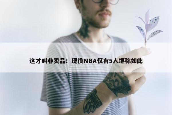 这才叫非卖品！现役NBA仅有5人堪称如此