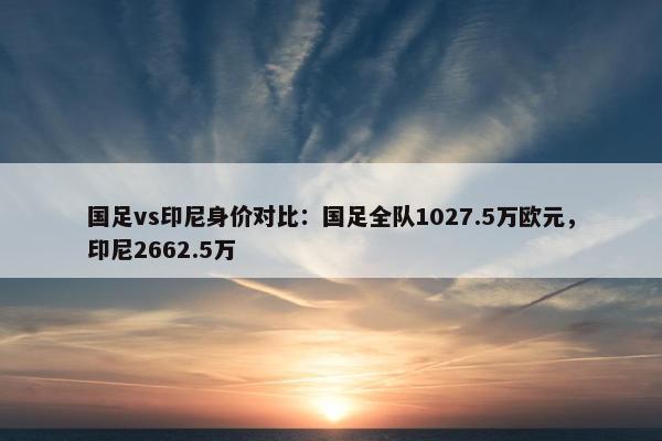 国足vs印尼身价对比：国足全队1027.5万欧元，印尼2662.5万