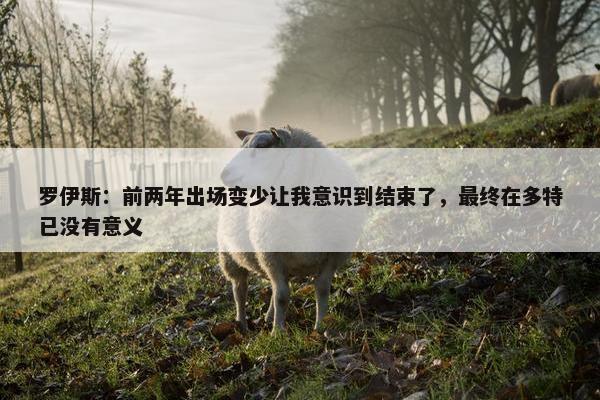 罗伊斯：前两年出场变少让我意识到结束了，最终在多特已没有意义