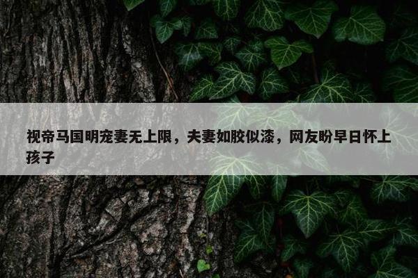 视帝马国明宠妻无上限，夫妻如胶似漆，网友盼早日怀上孩子