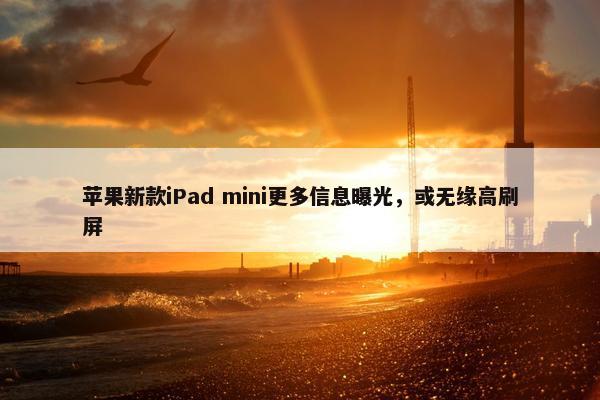 苹果新款iPad mini更多信息曝光，或无缘高刷屏