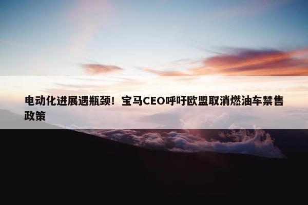 电动化进展遇瓶颈！宝马CEO呼吁欧盟取消燃油车禁售政策