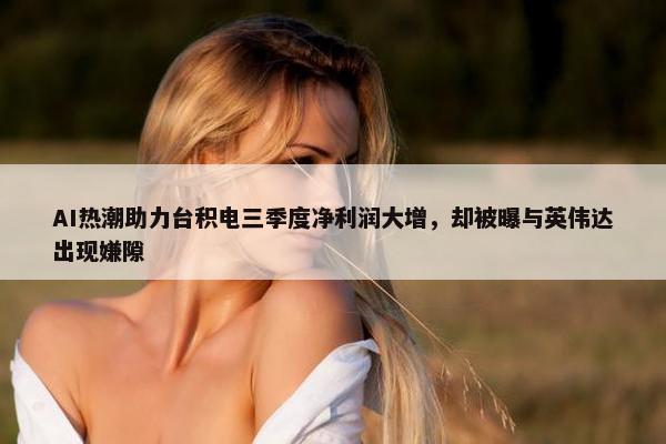 AI热潮助力台积电三季度净利润大增，却被曝与英伟达出现嫌隙