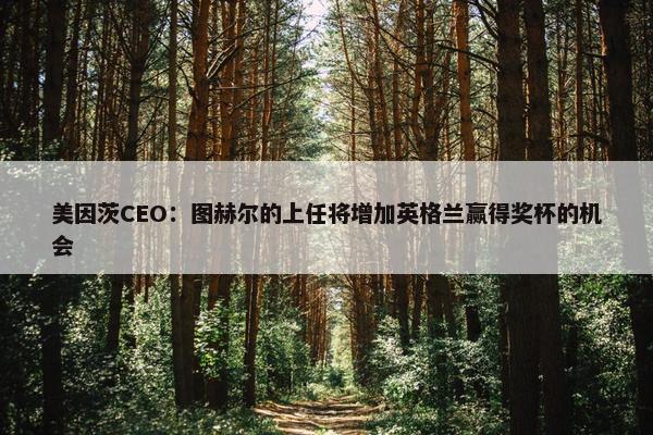 美因茨CEO：图赫尔的上任将增加英格兰赢得奖杯的机会