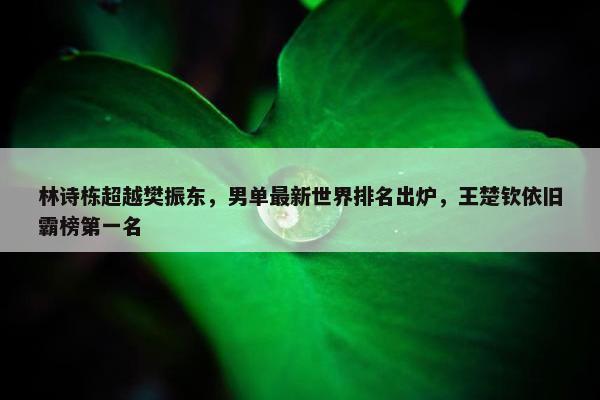 林诗栋超越樊振东，男单最新世界排名出炉，王楚钦依旧霸榜第一名