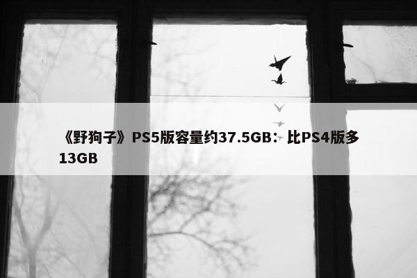 《野狗子》PS5版容量约37.5GB：比PS4版多13GB