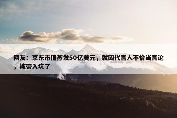 网友：京东市值蒸发50亿美元，就因代言人不恰当言论，被带入坑了